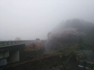 霧の高速