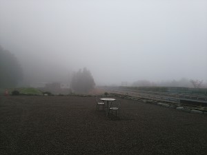 霧の園内
